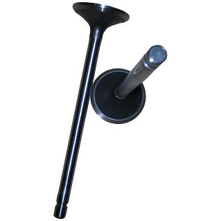 3942589A-QSL Exhaust Valve