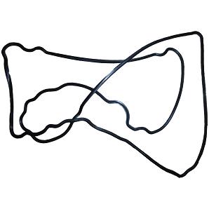 3959798-6L valve chamber cover gasket